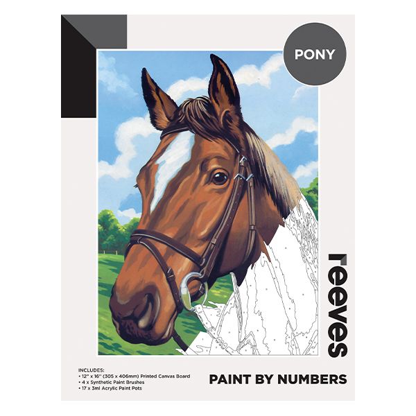 Picture of Paint By Numbers 12X16in Pony